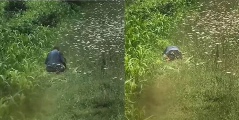 Köpeğe cinsel taciz davasında kan donduran ifadeler
