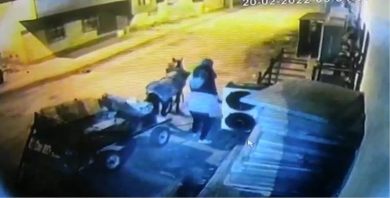 Mardin’de at arabalı hırsızlar kameraya yakalandı
