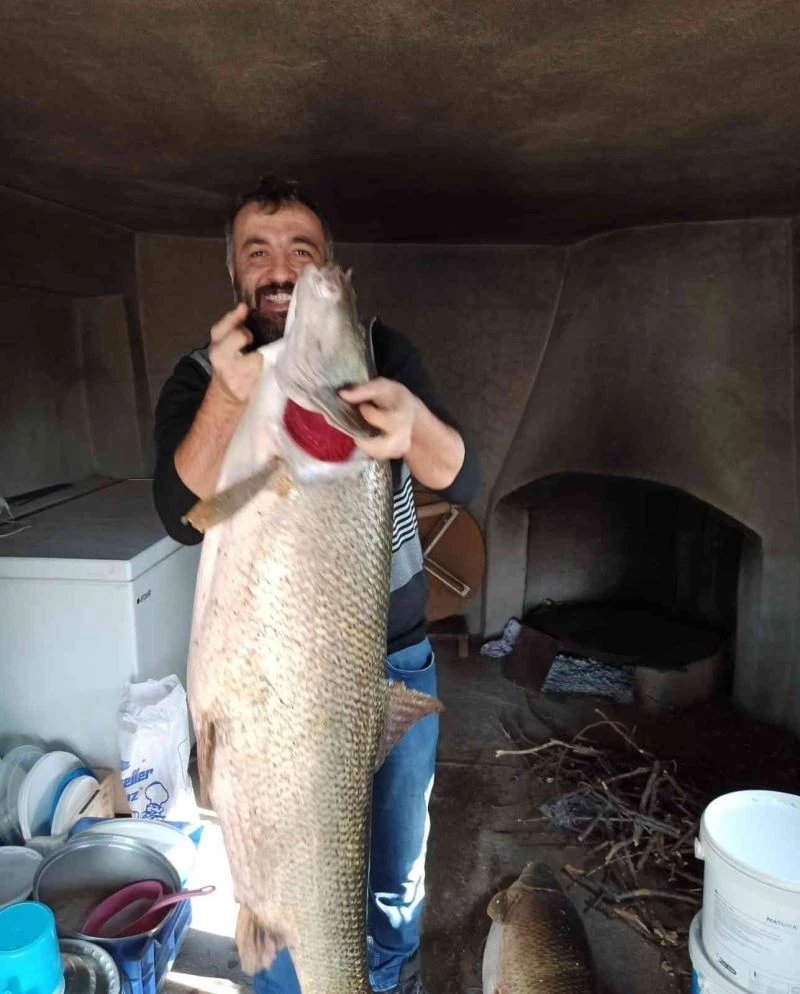 Elazığ’da balıkçılar ağa takılan dev turnalar karşısında şaşkına döndü
