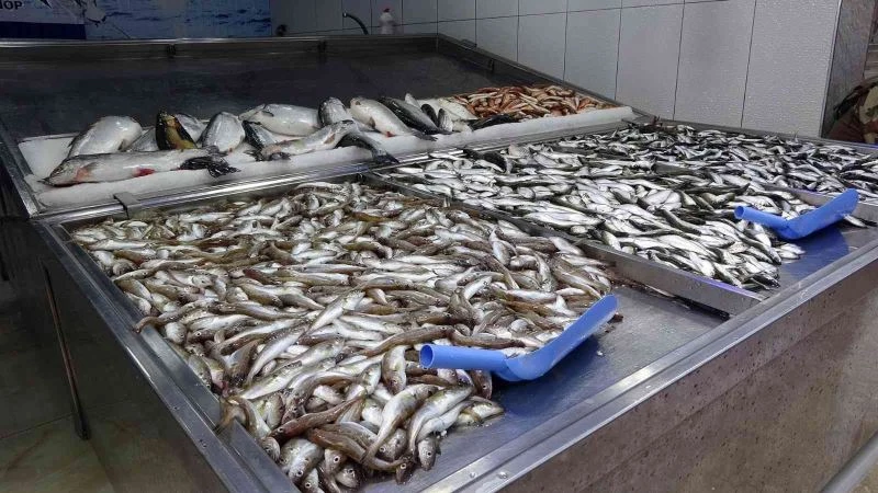 Hamsi tükendi, tezgâhlar istavrit ve mezgite kaldı
