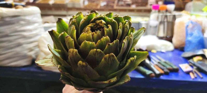 Yılın ilk enginarları pazar tezgahlarında