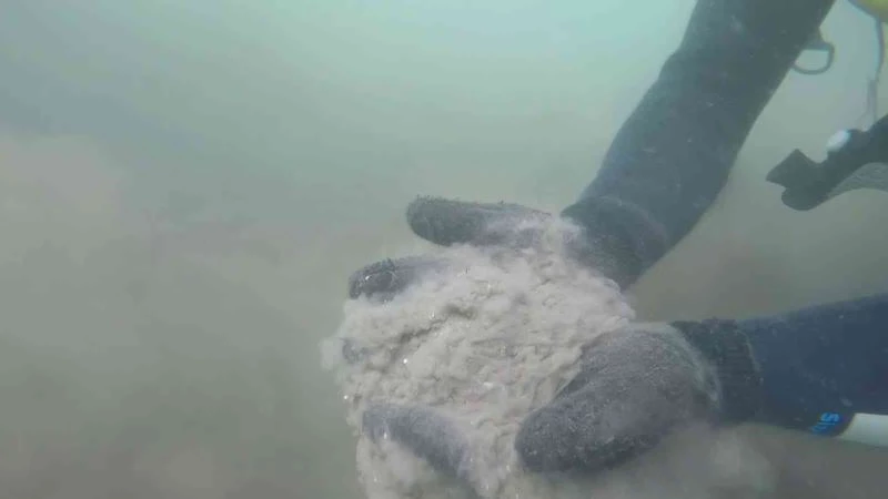 İklim değişikliği, orman yangınları ve aşırı yağışlar erozyona sebep oluyor
