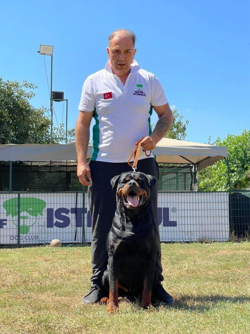 Hause Of İstanbul’da köpekler sosyal yaşama alıştırılıyor
