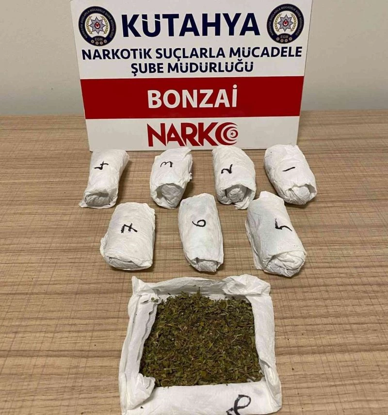 Kütahya’da bir şahsın üzerinde bonzai ele geçirildi
