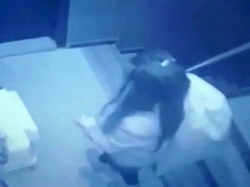 “Çuvallı” lakaplı hırsızın evinden 80 çift çalıntı ayakkabı çıktı
