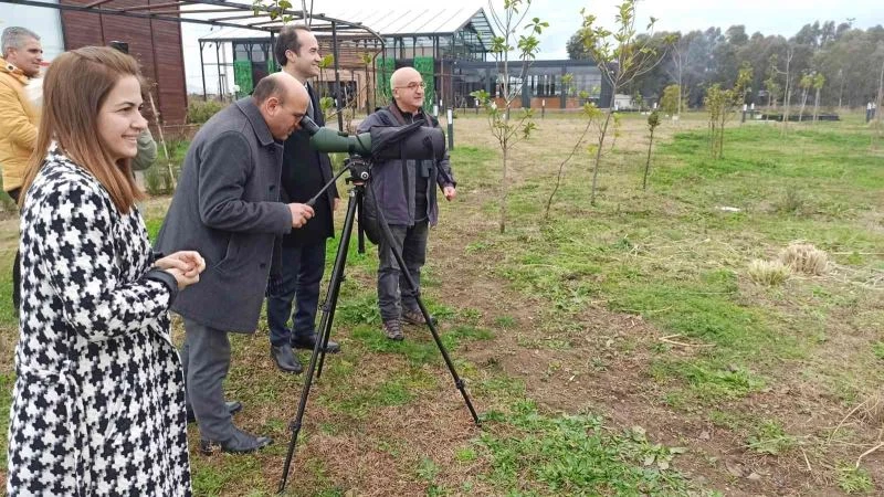 Sulak Alan Gününde Hersek Lagününde 6316 kuş gözlenerek kayıtlara geçirildi

