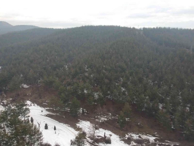 30 milyon ağaç dikerek bölgenin geleceğine dokundu
