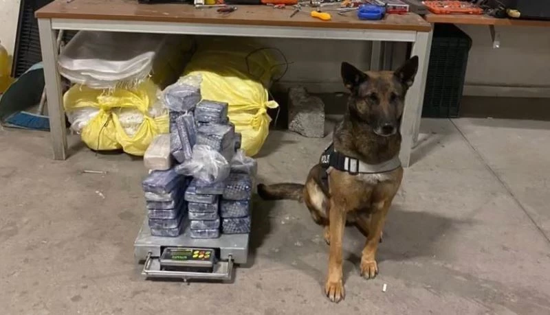 Aracın zulasındaki 31 kilogram eroini ‘Su’ buldu
