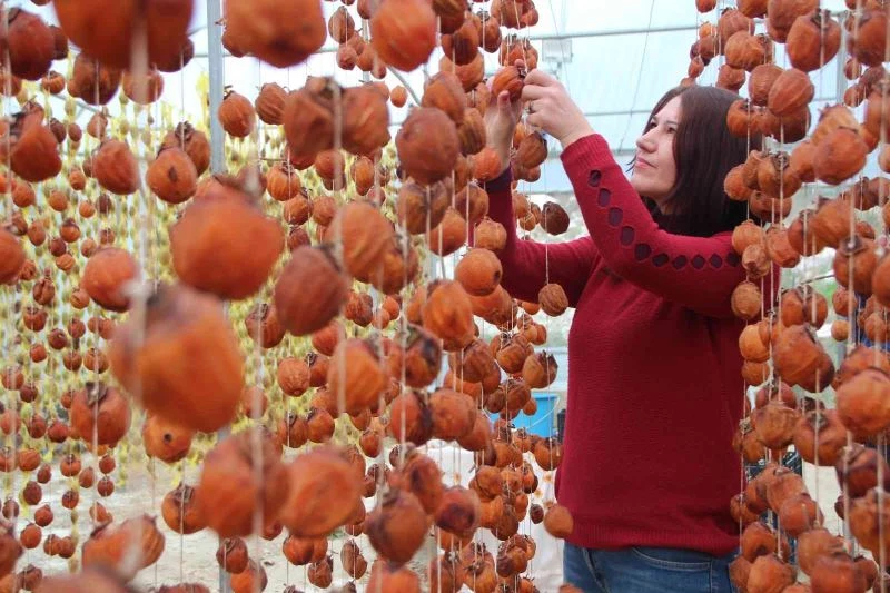 Kuruyunca fiyatı 20 misli artıyor
