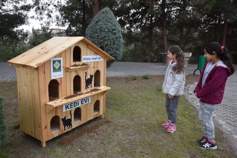 Soğuk kış günlerinde sokak kedilerine sıcak yuva
