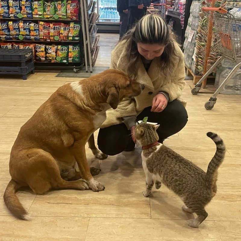 Mazlum ile Boncuk’un dostluğu
