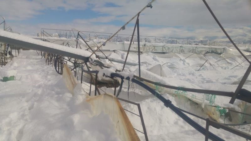 Isparta’da seralar yoğun kar yağışına dayanamadı
