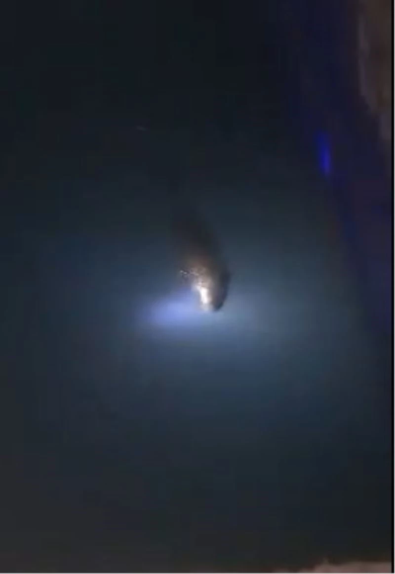 Nesli tükenen su samuru Kastamonu’da görüldü
