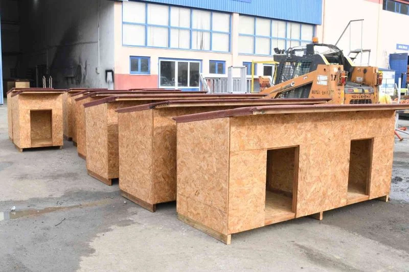 Atıklar ahşaplar sokak hayvanlarına yuva oldu
