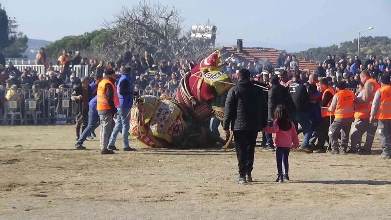 12.Geleneksel Karaağaç Folklorik Deve Güreşleri yapıldı

