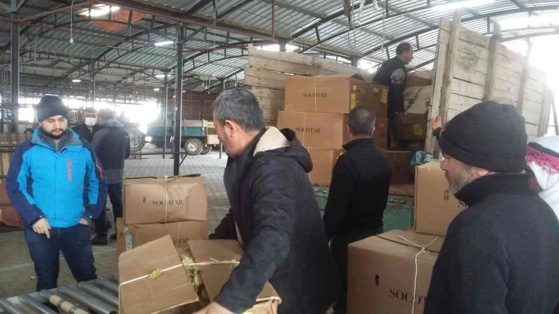 Manisa’da tütün alımlarına başlandı
