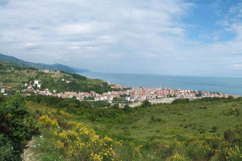 Türkiye’de 53 bin 214 Türkelili yaşıyor
