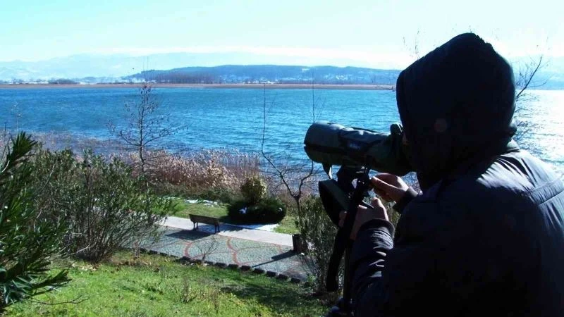 Ortalama 1 milyon 200 bin su kuşu bu çalışmalarla tespit ediliyor
