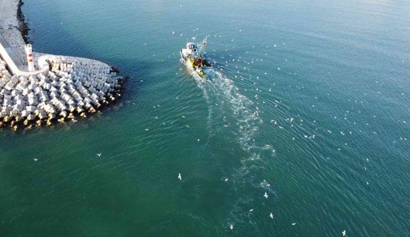 Balıkçılar denizde, martılar peşlerinde kısmetini arıyor
