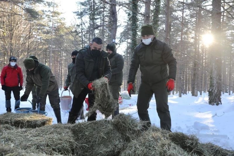 Vali Atay ve beraberindekiler, yaban hayvanları için yem bıraktı
