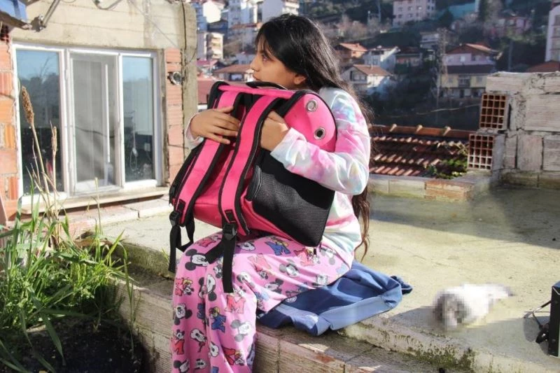 Evinde çıkan yangın köpeklerini telef etmişti, yeni bir köpek sahiplenmek istiyor
