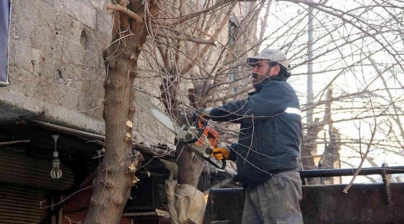 Parklar, refüjler, bulvarlar güzelleştiriliyor
