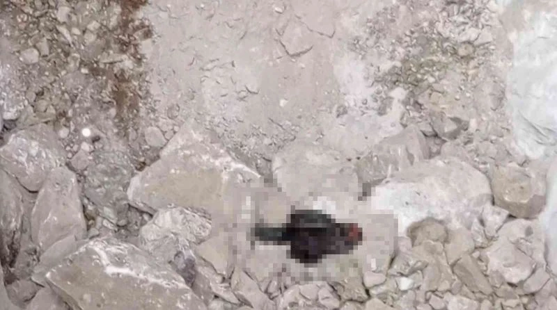 Hazine bulmak için siyah tavuk kesip kuyuya indiler
