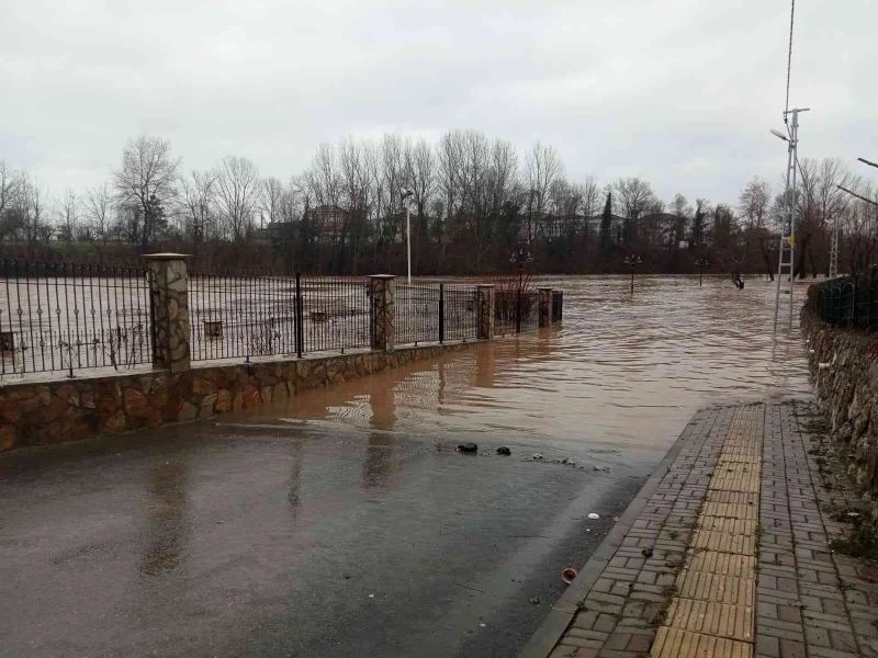 Sağanak yağışla eriyen karlar taşkınlara neden oldu

