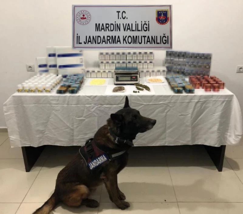 Mardin’de uyuşturucu satıcısına jandarma baskını
