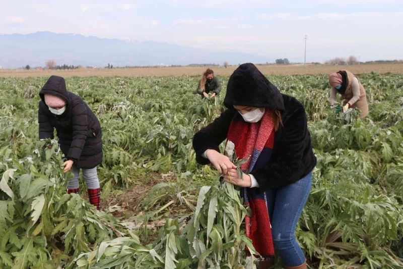 Efeler’in enginarlarına özenli bakım
