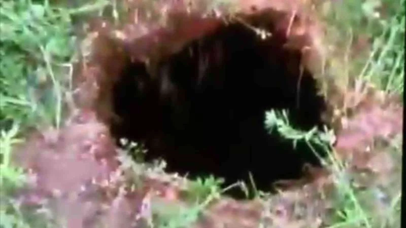 Tarlada oluşan çukurlar merak konusu oldu
