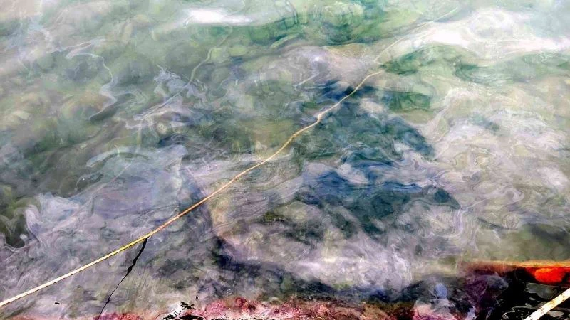 Denize sintine atığı boşaltan tekne sahibine yasal işlem uygulandı
