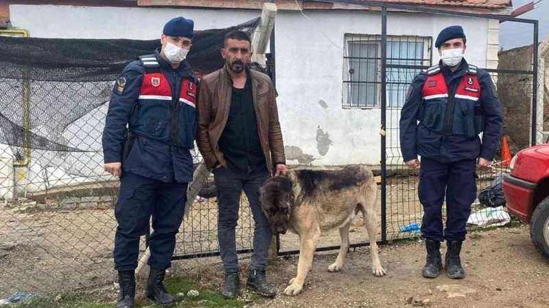 Pes dedirten hırsızlık olayı: Tanınmaması için çaldığı köpeği siyaha boyadı
