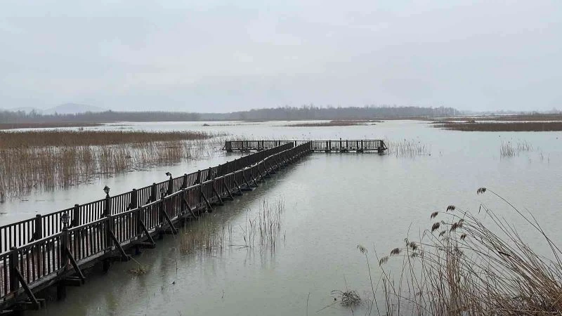 Efteni Gölü’nde su seviyesi yükseldi
