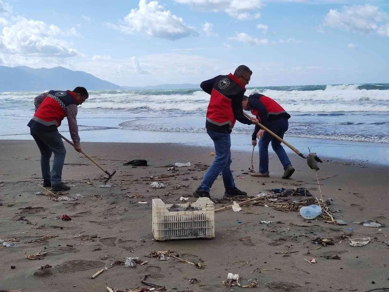 Hatay’da sahile vuran ölü denizanaları incelemeye alındı
