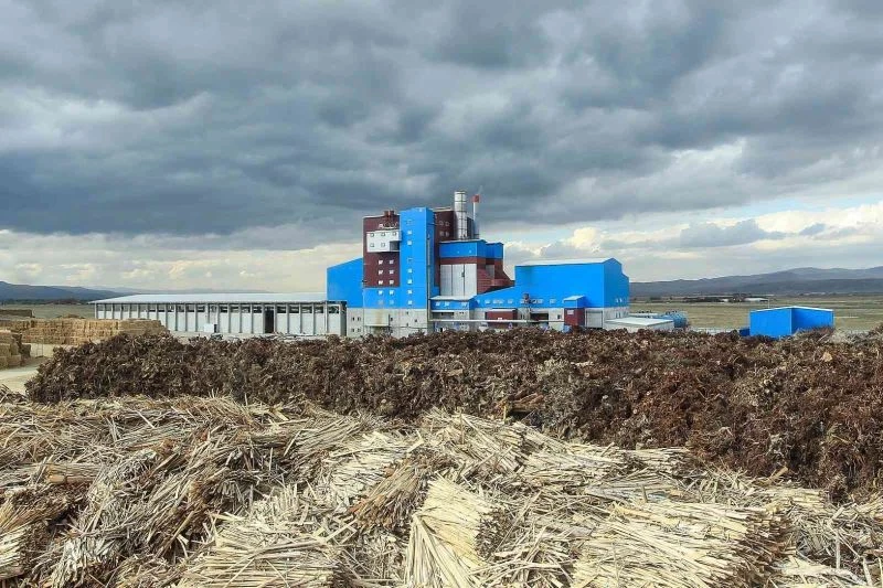 Enerjide biyokütle avantajı
