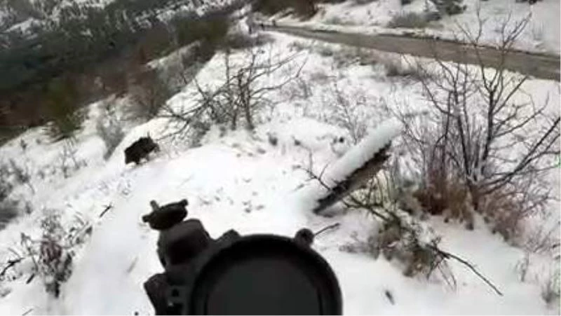 Yiyecek arayan tilkiyi yemeğe davet etti
