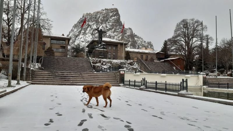Afyonkarahisar’da mart kapıdan baktırdı
