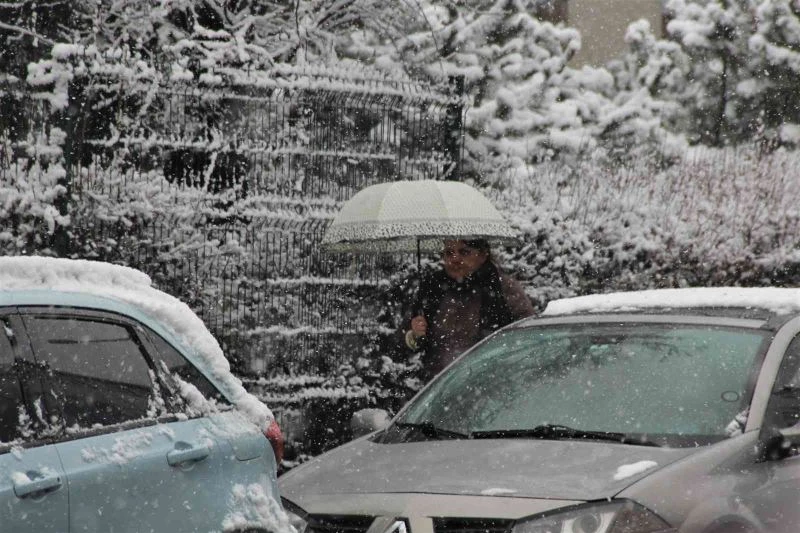 Baharı beklerken kış geri geldi
