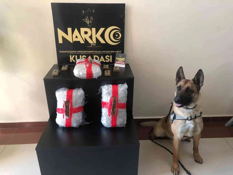 Narkotik köpeği Arthur, uyuşturucuya geçit vermedi
