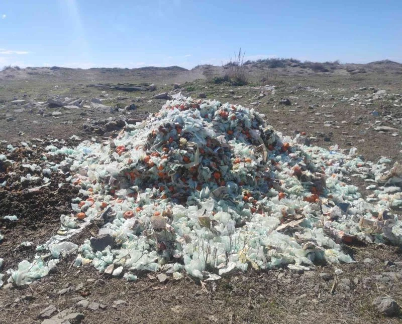 Milleyha Kuş Cenneti’nde çöp tehdidi
