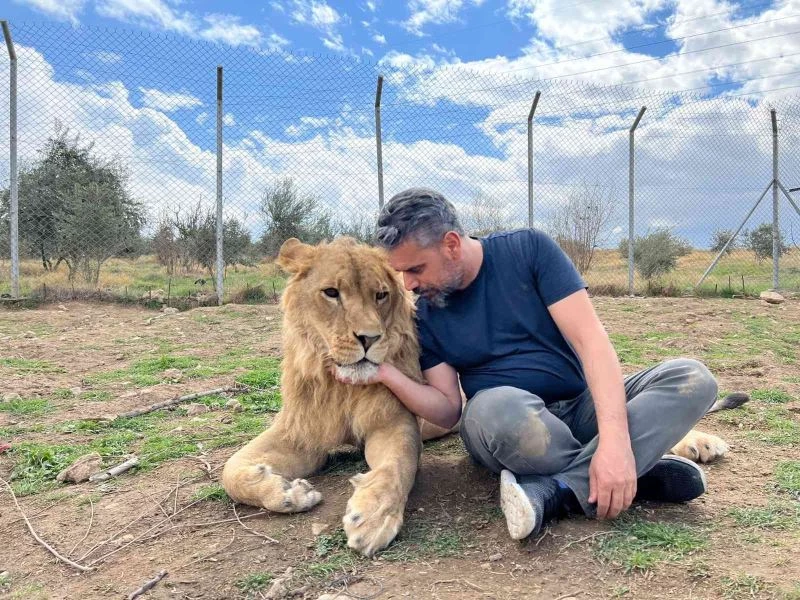 Aslan terbiyecisi Akbey, hayvanları anlamanın yollarını anlattı
