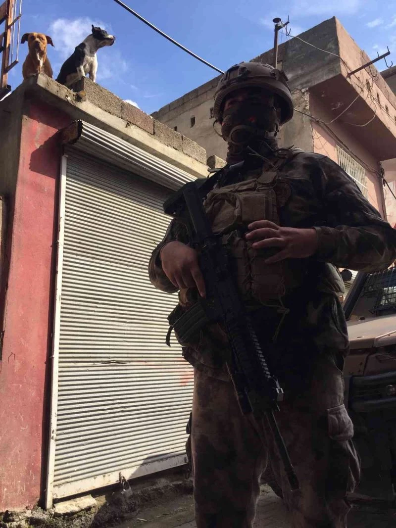 Torbacının pitbullarına polis el koydu
