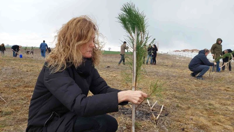 Bu fidanlar pandeminin baş kahramanları için boy gösterecek
