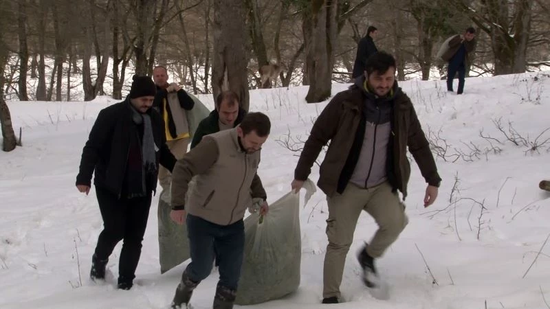 Belgrad Ormanı’ndaki geyikler böyle beslendi
