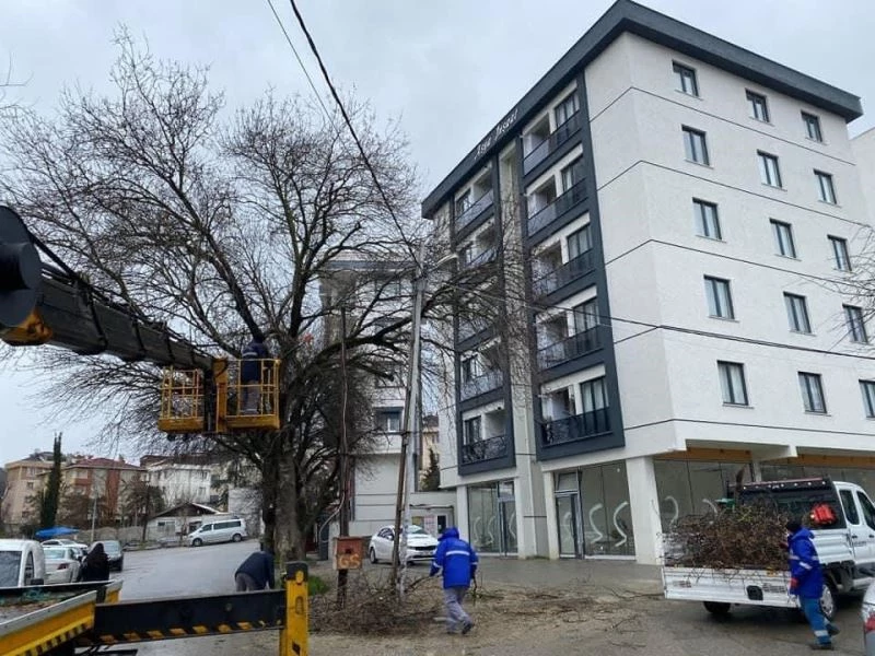 Kar yağışından etkilenen ağaçlara Kartal Belediyesi ekiplerinden anında müdahale
