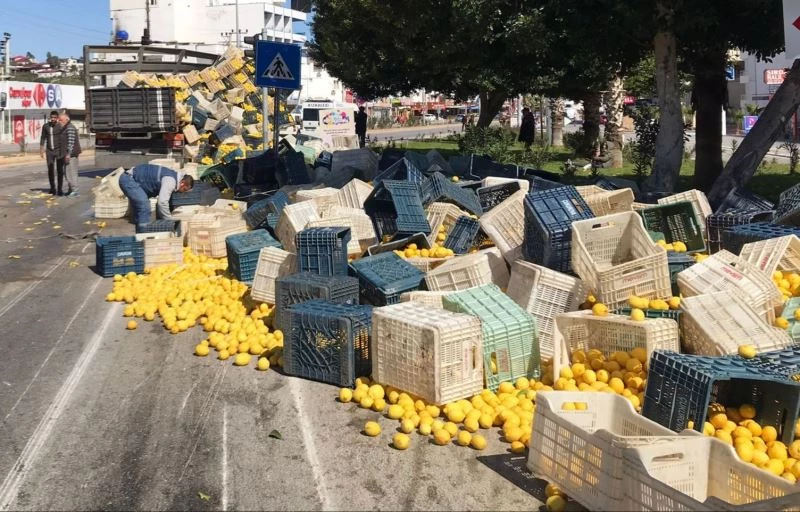 Kamyonun kasası yan yattı, limonlar etrafa saçıldı
