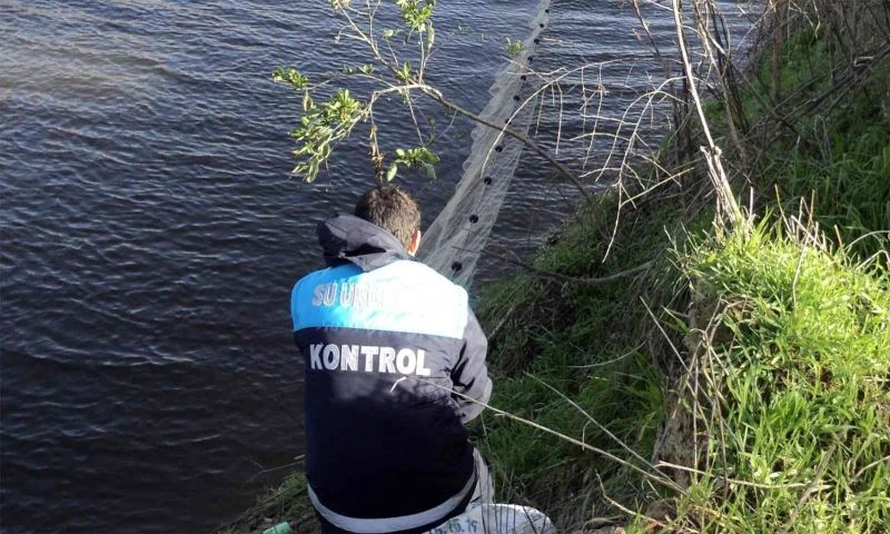 İç sularda sazangiller ve yayın balığı yasa başladı
