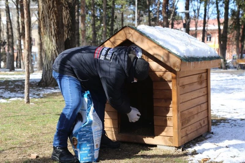 Sokak hayvanları için yemleme çalışması yapıldı
