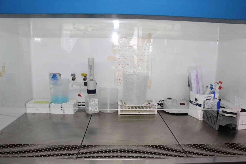 Yanlış kullanımda sağlığa zarar veren antibiyotiklerin dünyada ekonomiye maliyeti 100 trilyon dolar olarak ön görülüyor
